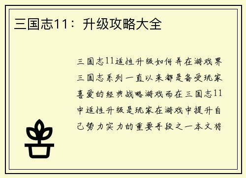 三国志11：升级攻略大全